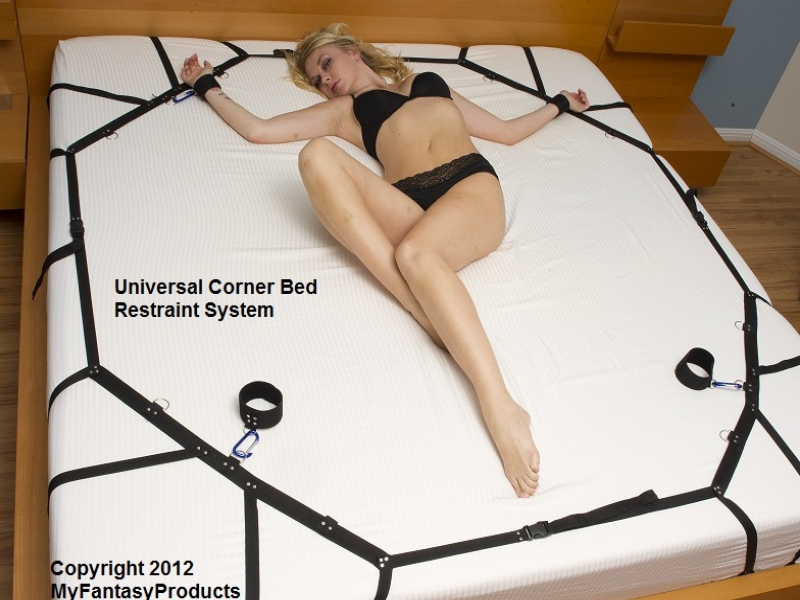 Universal Bed Restraint System.